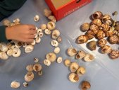 Kindergarten D, Gärtli